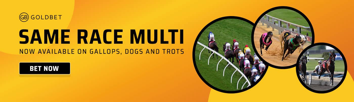 Bets vip net